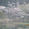 秦野　転　天気　最高気温17度　曇り☁