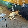 『表参道のセレブ犬とカバーニャ要塞の野良犬 』