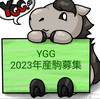 馬名決定！YGG出資馬コマノスクアーロ2023近況(2025/02/05)