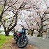 好きと言おう