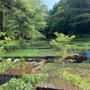 修善寺周辺のオススメサイクリングスポット