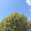 具体的に細かく言えない…