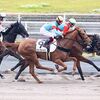 ２４日に栗東・松永幹厩舎へ帰厩しています。☆エバーフレッシュ