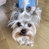 5月２１日　👀