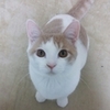 はてなスター非表示についてのお詫び　<(_ _)>