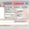 Dịch vụ làm visa Canada, nộp hồ sơ xin visa Canada online