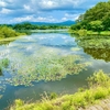 藤枝溜池（芦野湖）（青森県五所川原）