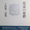 死霊の憂鬱　ぐろてすくとあらべすく　上田周二詩集