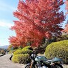 「光り輝ける牧場」