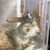 しろごまあん1246日目