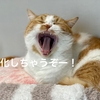 【愛猫家のレビュー】猫パンデミック漫画『ニャイト・オブ・ザ・リビングキャット』レビュー
