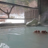 青森と秋田の県境にある日景温泉で硫黄泉と二酸化炭素泉を貸し切りで楽しむ