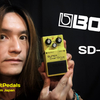 BOSS SUPER OVER Drive "SD-1" Sound Check Video for Stratocaster