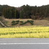 NEOPASA岡崎爆誕 緊急からあげレビューするしかないだろうが！