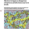 A群溶血レンサ球菌感染症の広がりの謎