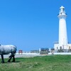 『【心理テスト】分岐点』はなぜ分岐点であったのか