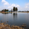 谷地中の池（秋田県横手）