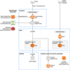 NGINX Ingressで複数ドメインを1つのALBに集約する