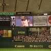 久しぶりに東京ドームで野球観戦しちゃいました