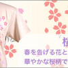 新商品のご案内！「桜図」Tシャツ！