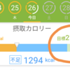 ダイエットギブアップ？！